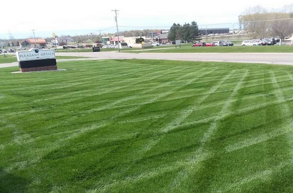 Fertilizing, weed, plant health service in Michigan.