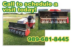 Overseeding and Michigan lawn care services.