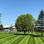 michigan-lawn-care-fertilizing-services-michigan-w-12