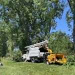 michigan-tree-removal-service-12-o