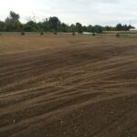 new-lawn-service-michigan-10