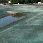 o-hydroseeding-michigan-w-8