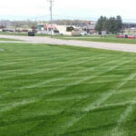 o-lawn-care-fertilizing-service-michigan-8