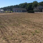 o-michigan-new-lawn-service-8