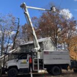 tree-removal-service-michigan-10